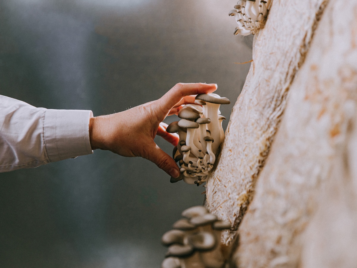 Slider Image 9